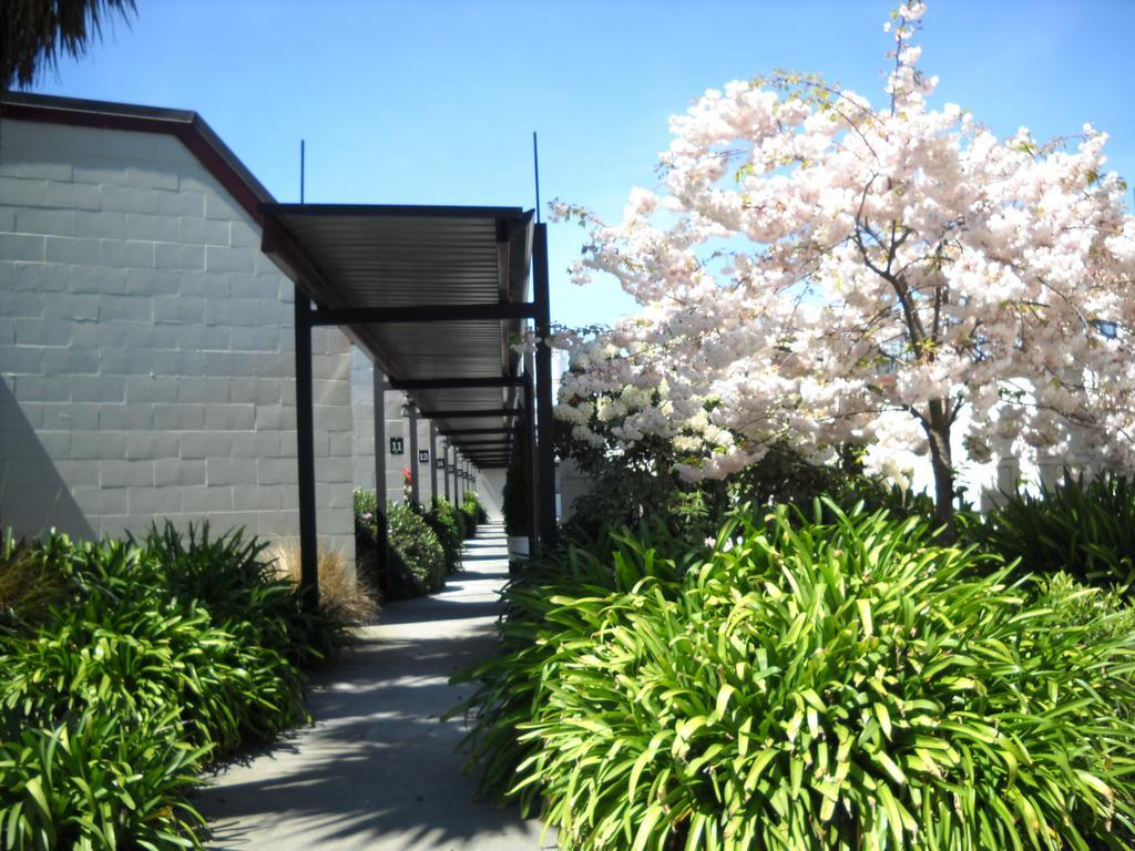 Gothic Heights Motel Christchurch Kültér fotó